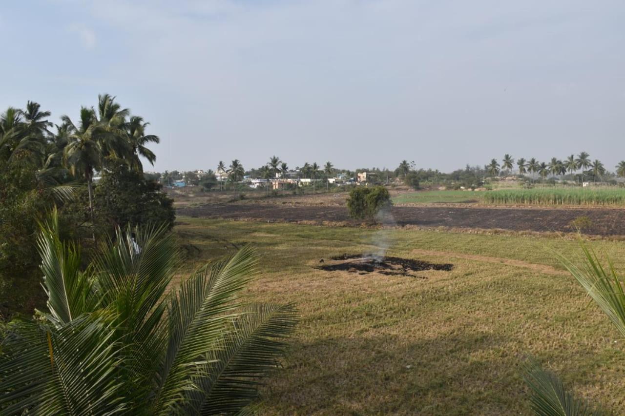 Coconut Homestay Hampi Exteriér fotografie